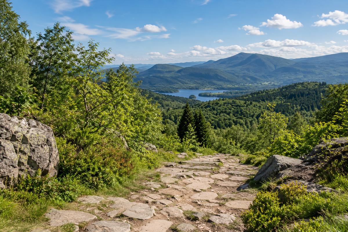 Landscape with trees, JPEG quality 75, 1200 × 800 pixels